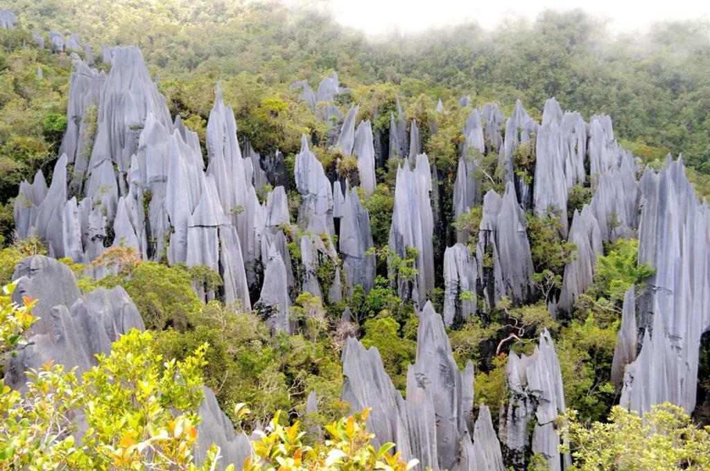 Mulu National Park酒店 外观 照片