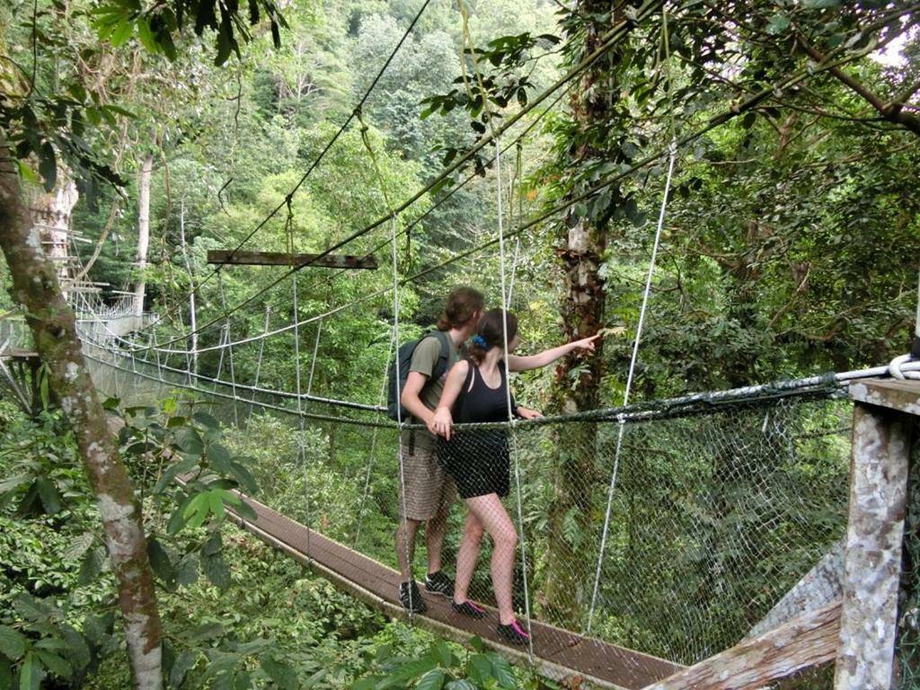 Mulu National Park酒店 外观 照片
