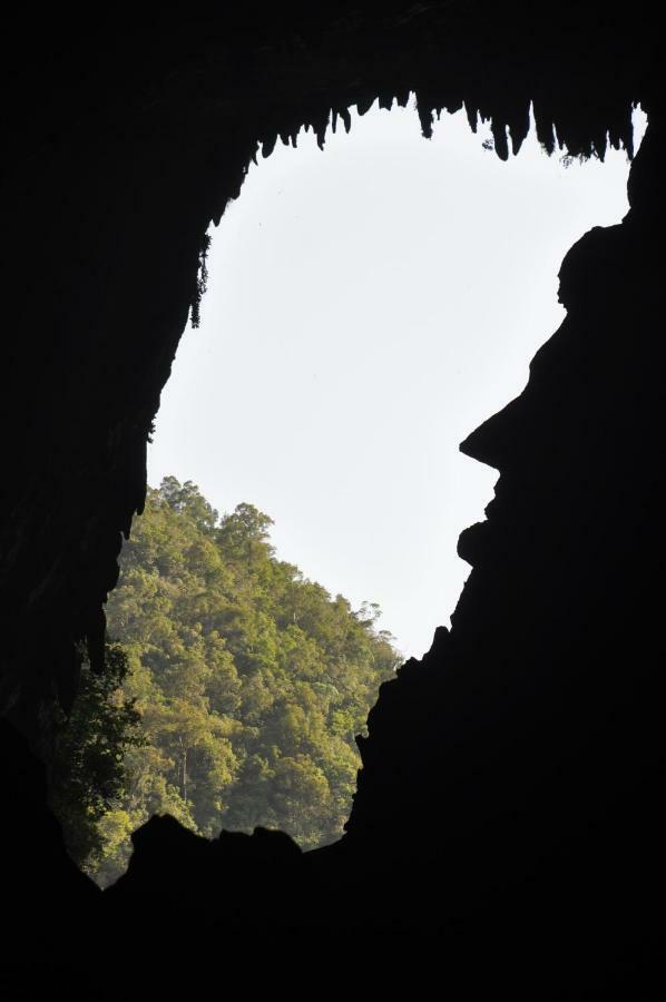Mulu National Park酒店 外观 照片